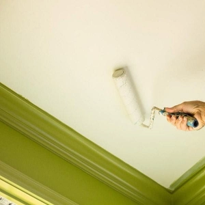 Как правильно покрасить потолок в комнате своими руками